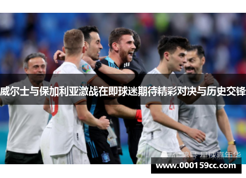 威尔士与保加利亚激战在即球迷期待精彩对决与历史交锋